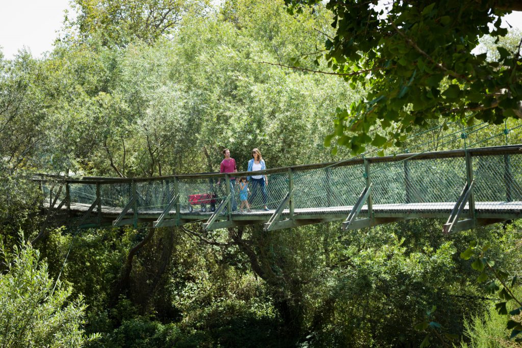 Swinging Bridge, Arroyo Grande