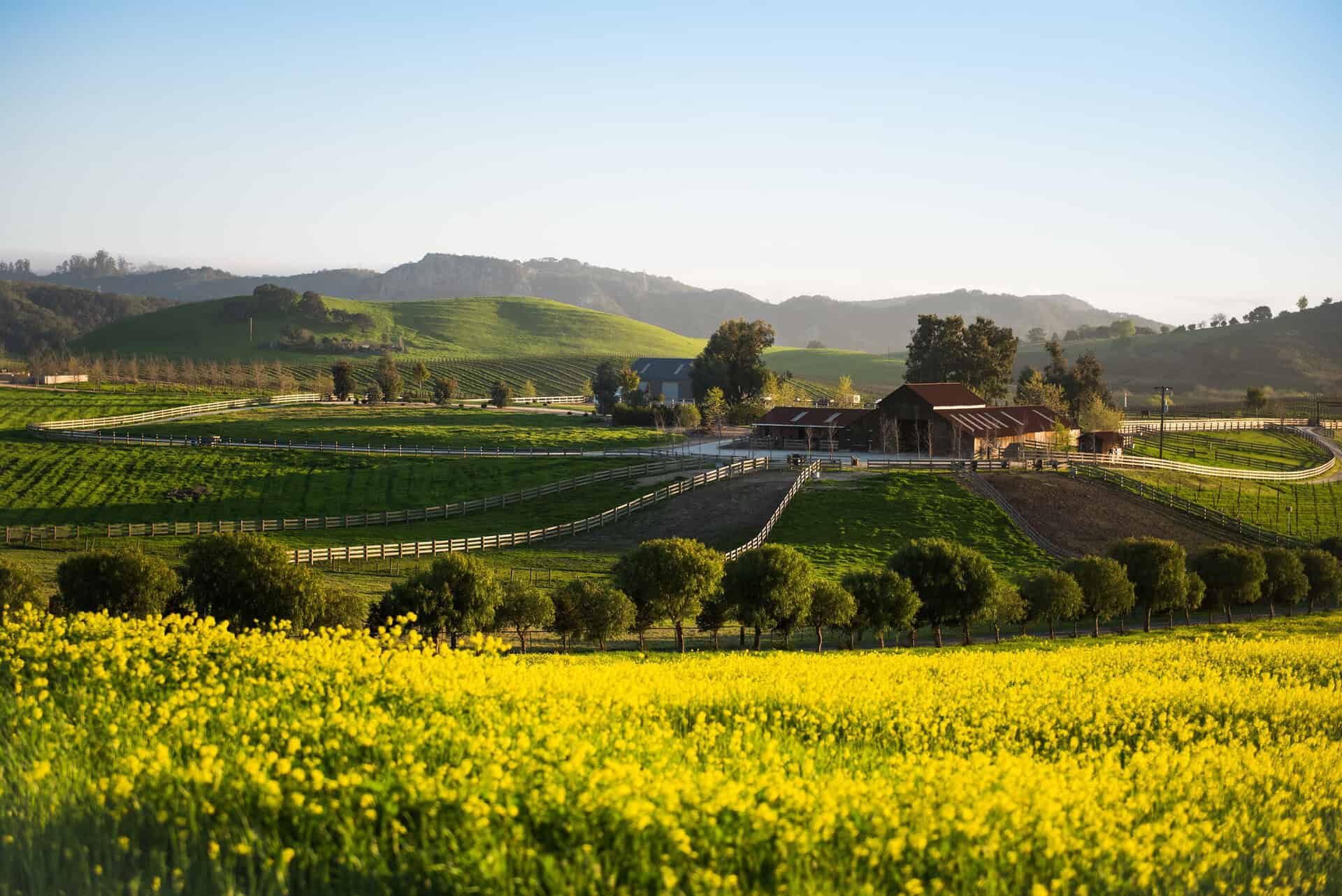 A winery amongst the fields of Edna Valley