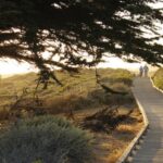 Cambria Discovery Loop ~ Hiking Trails