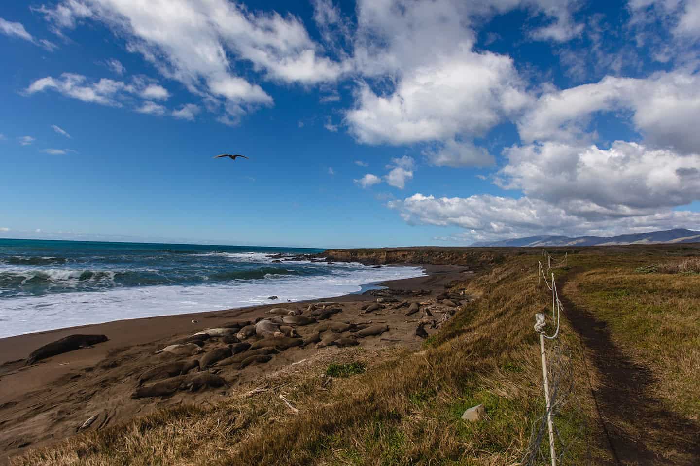 Boucher Trail San Simeon