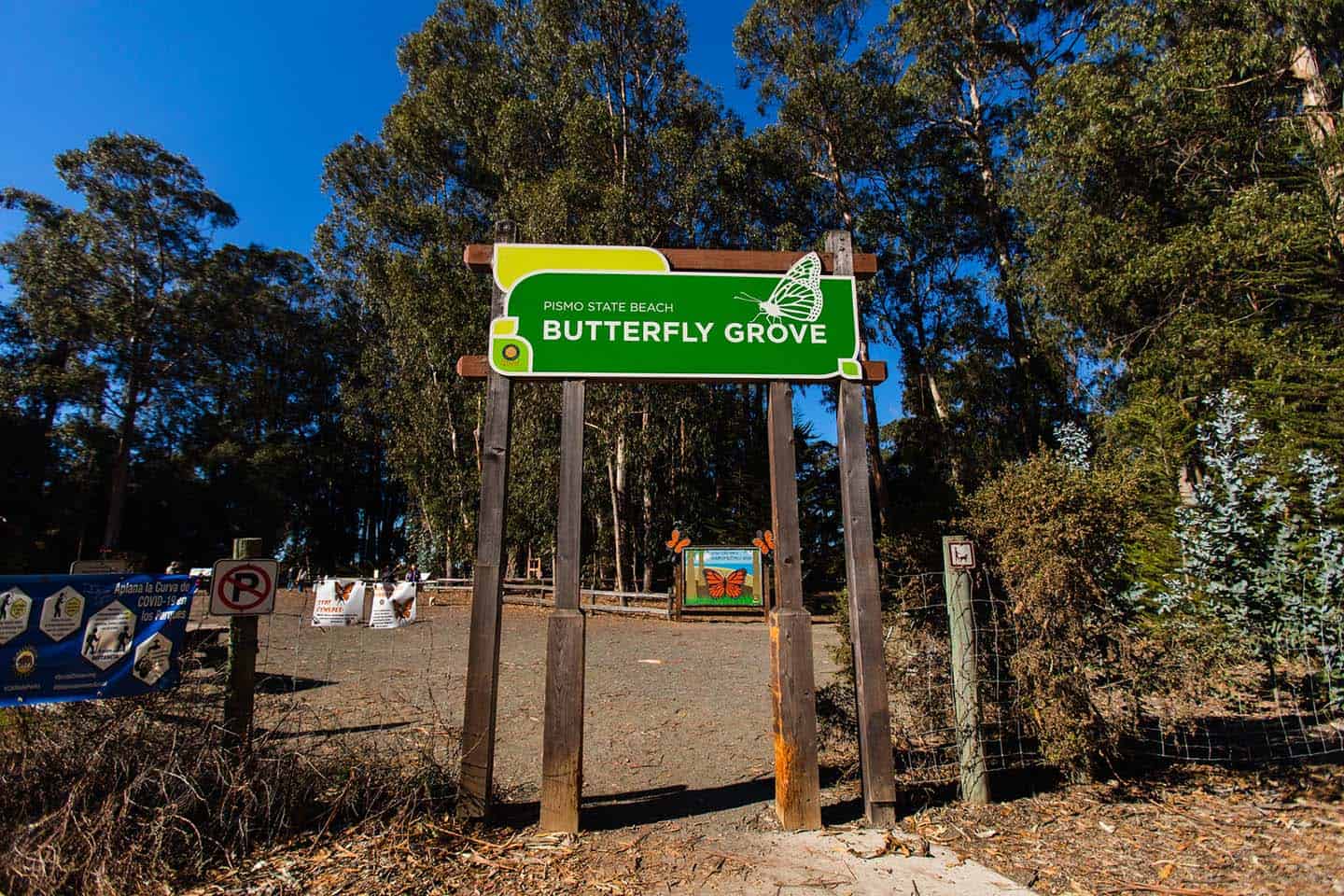 Pismo Beach Monarch Butterfly Grove