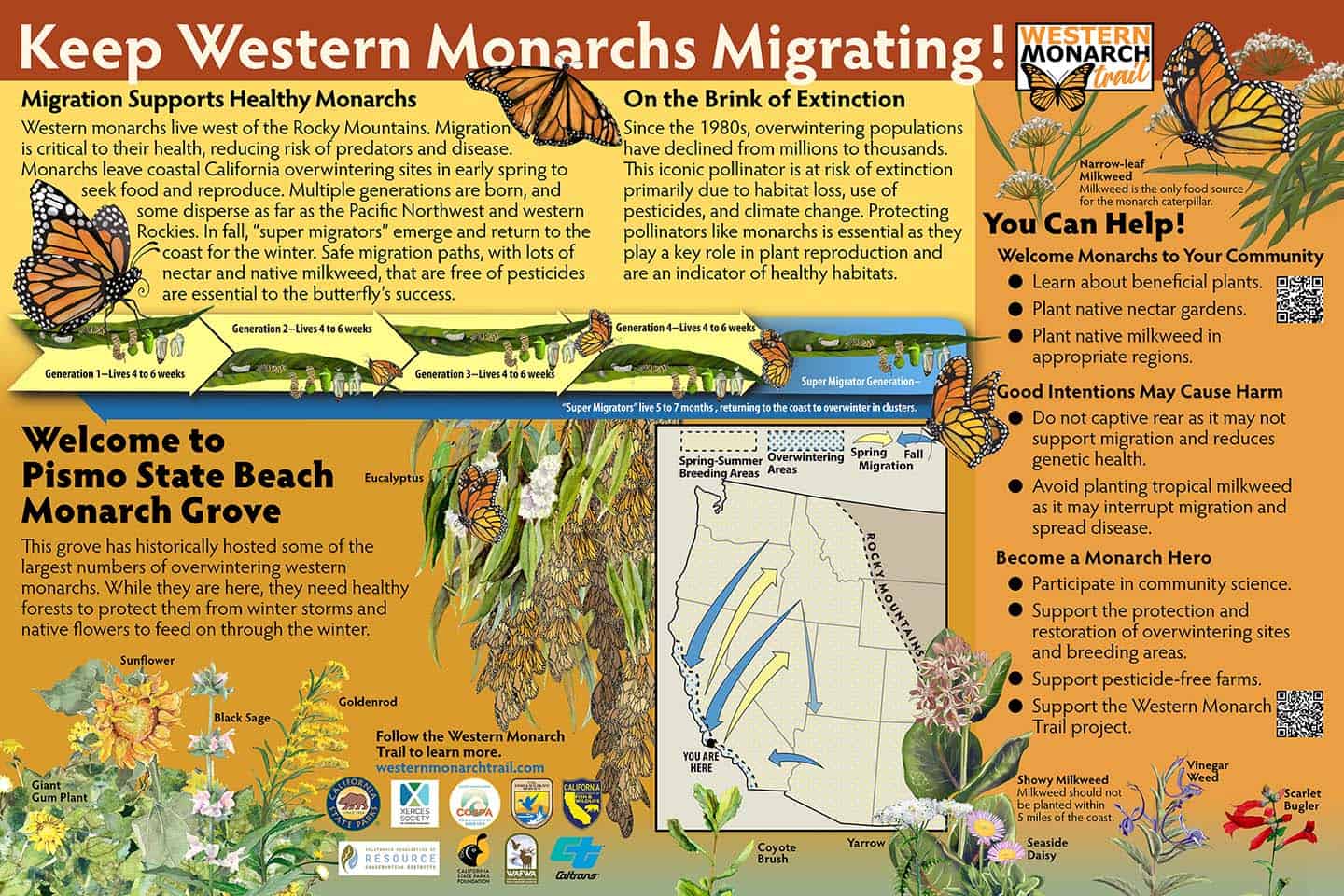Western Monarch Trail