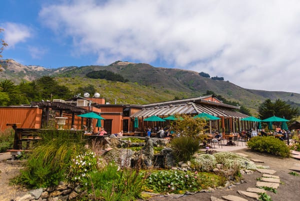 Links to Ragged Point Restaurant