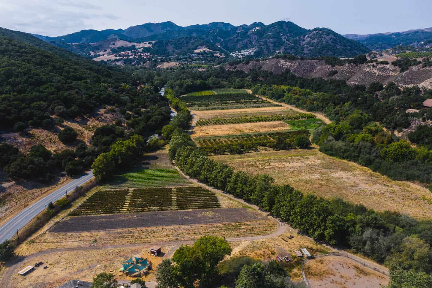 Aerial Avila Valley Barn