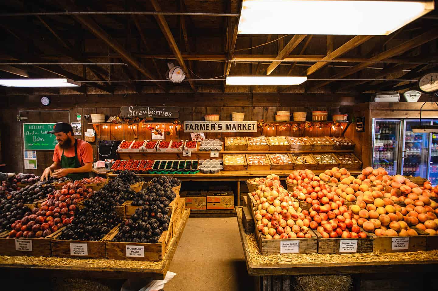 Avila Valley Barn Fruit