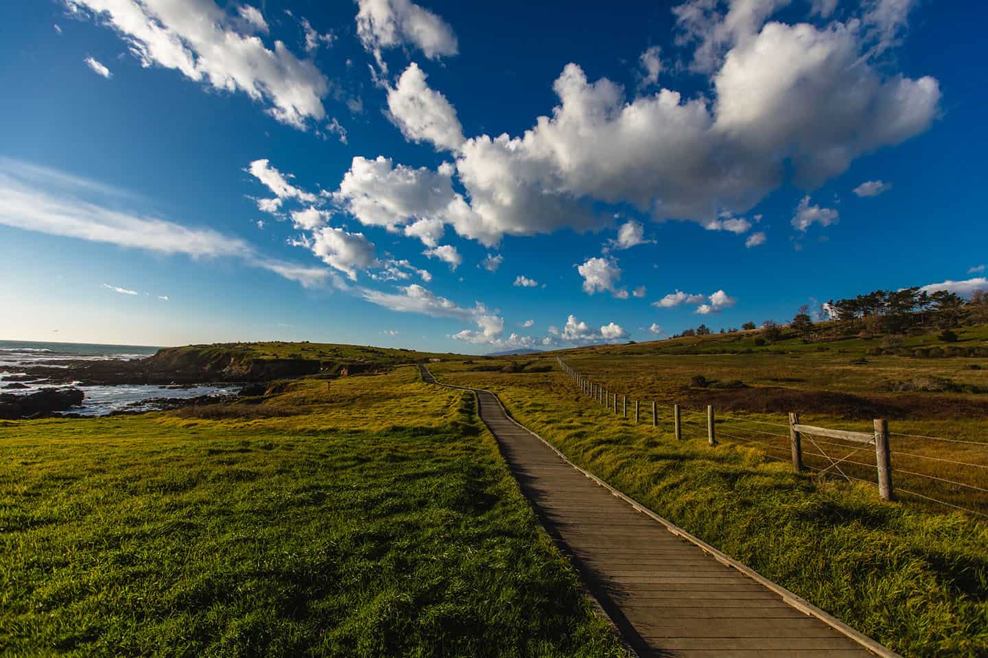 Fiscalini Ranch Preserve Trails