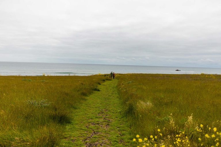 Links to Hiking in Cayucos