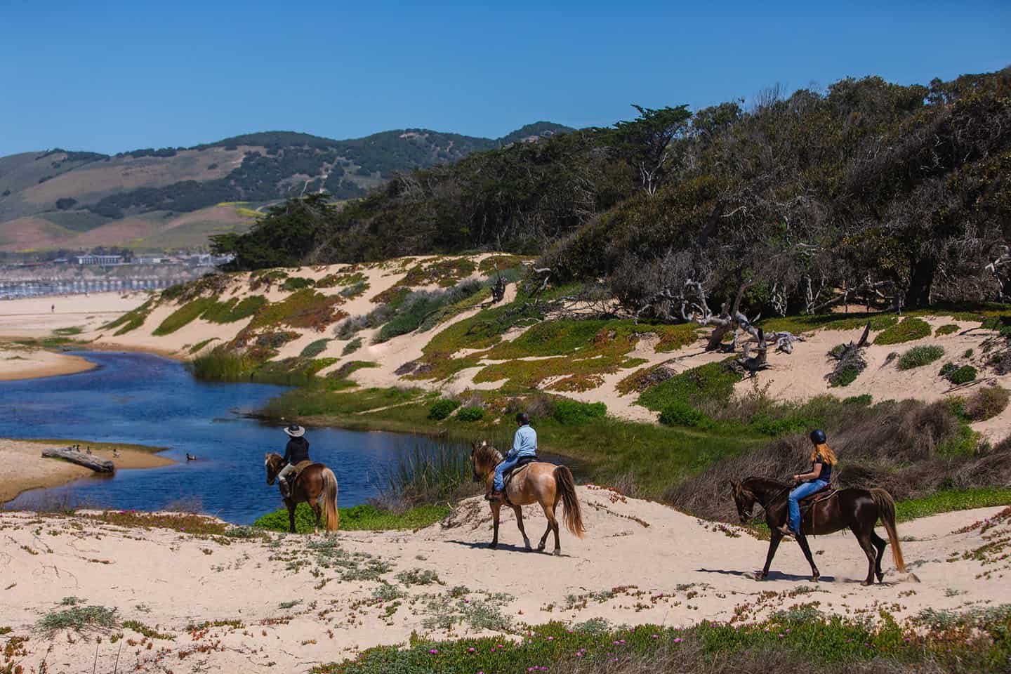 Horseback Riding Oceano