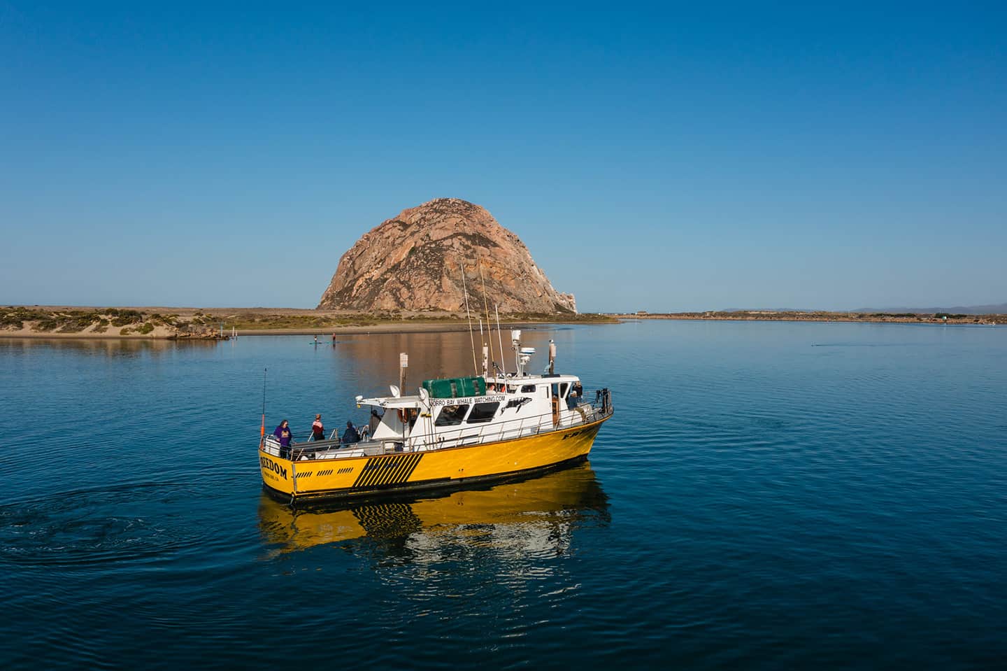 Morro Bay Whale Watching Boat