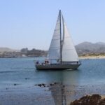 Central Coast Sailing & Whale Watching