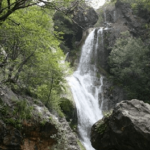 Salmon Creek Falls