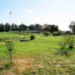 Disc Golf ~ Sinheimer Park
