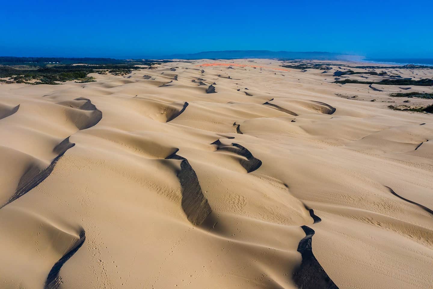 Oceano Dunes Natural Preserve