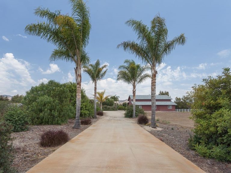 Links to Turtle House