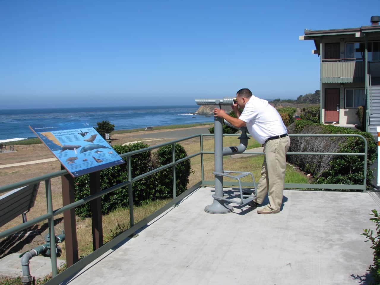 Man Viewing Whales from a Telecope