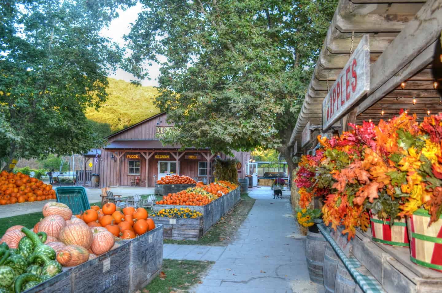 Avila Valley Barn in the Fall