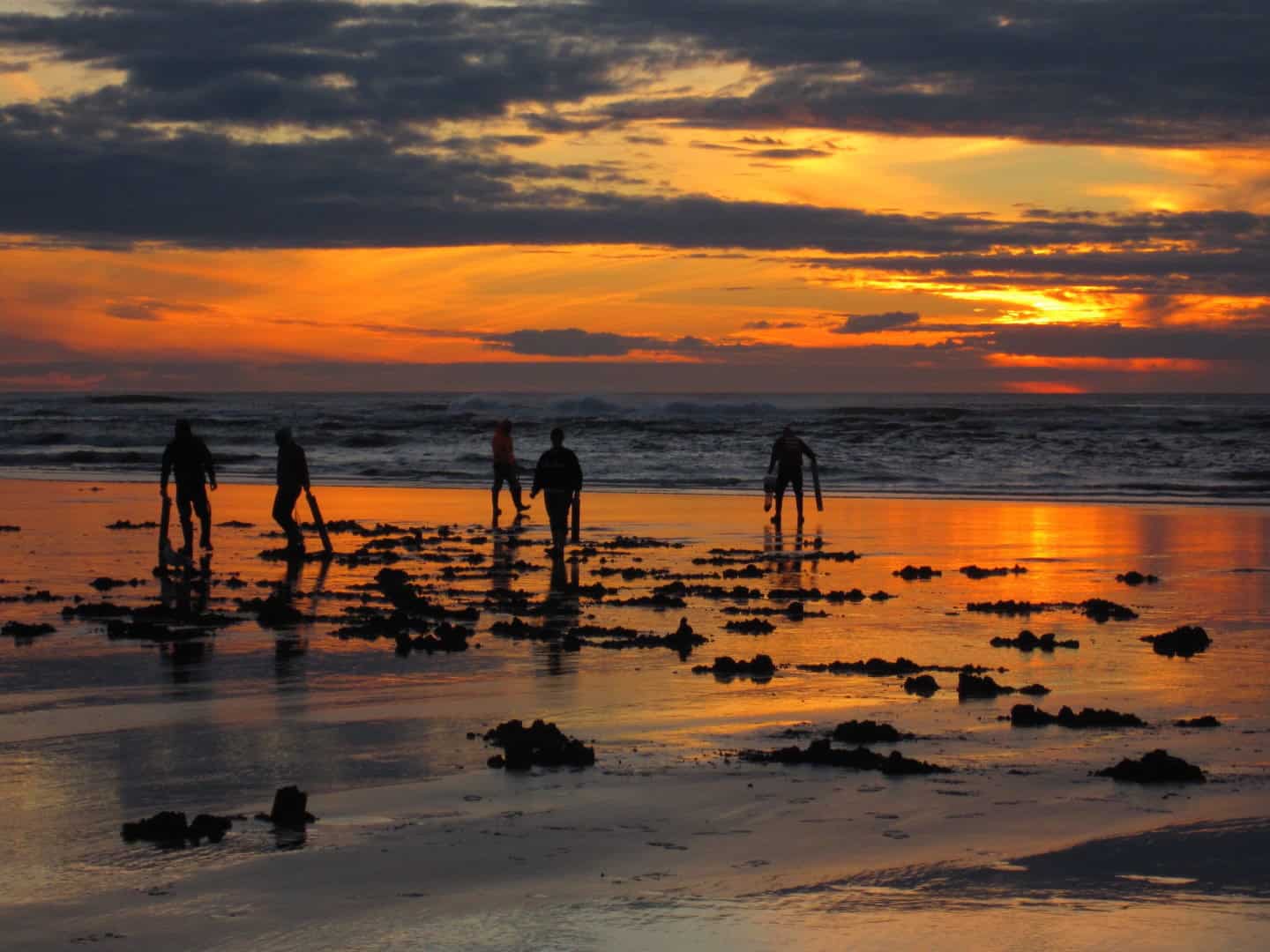 Clam Digging on Highway 1