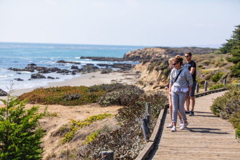 fiscalini-ranch-bluff-trail Hiking in Fiscalini Ranch along the Bluff Trail in Cambria, CA