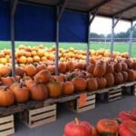 Hayashi Fruit & Vegetable Stand