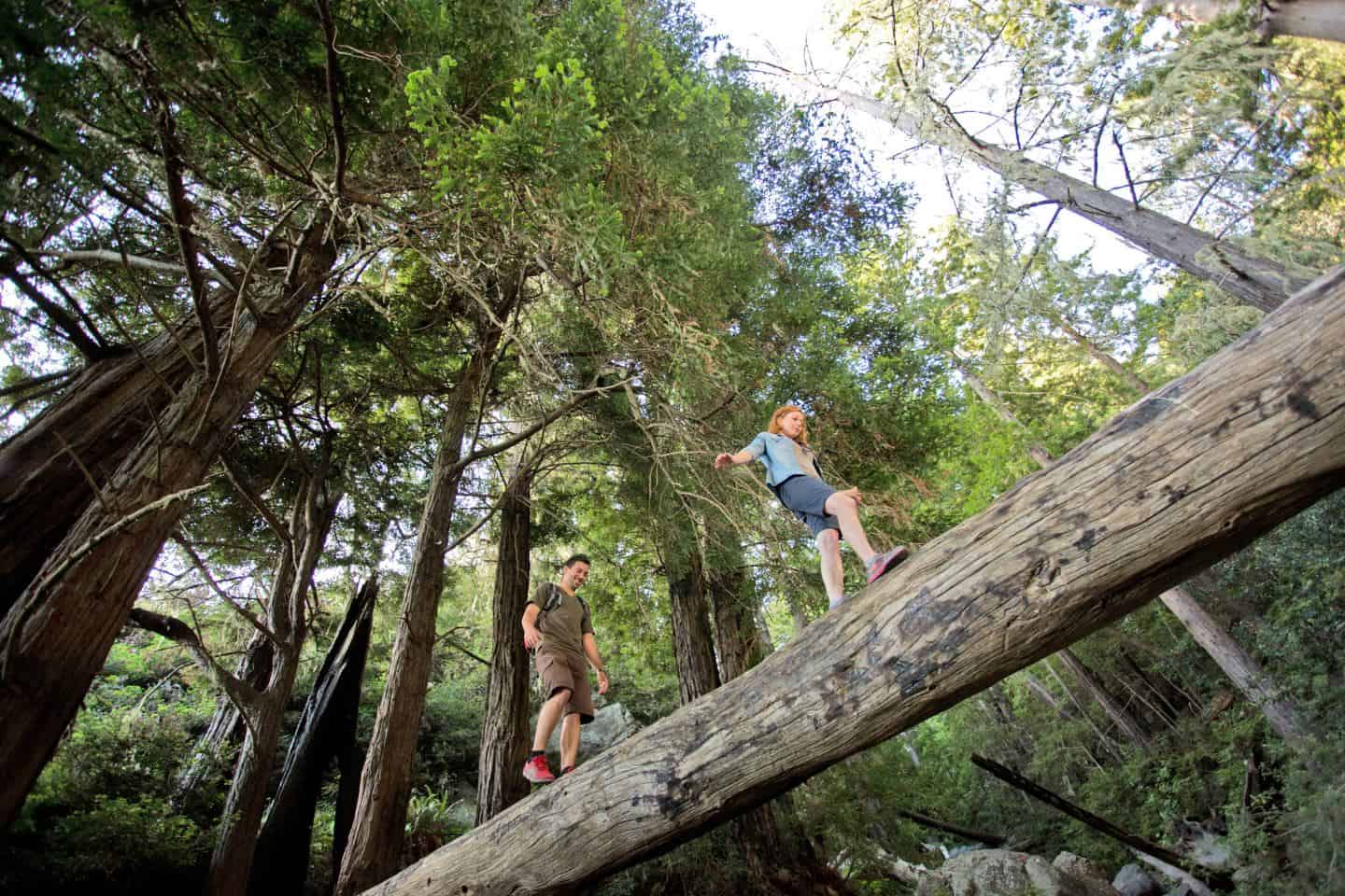 Hiking in San Simeon and Ragged Point