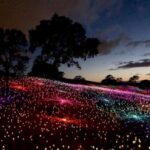 Sensorio: Field of Light