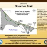 Boucher Trail at Piedras Blancas