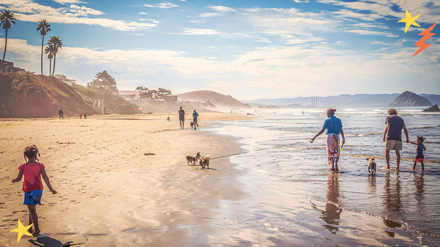 Best Beaches Dog Beach