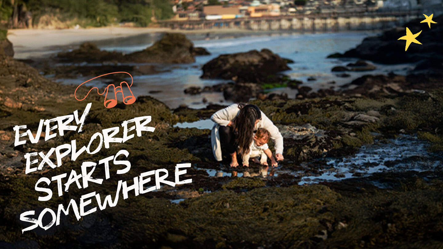 Best Beaches Tidepool