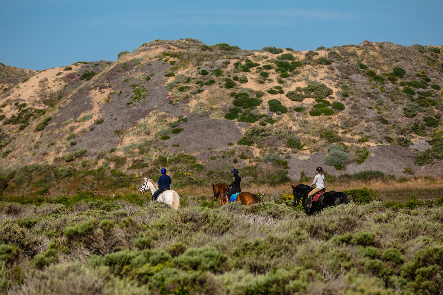 Los Osos Horseback