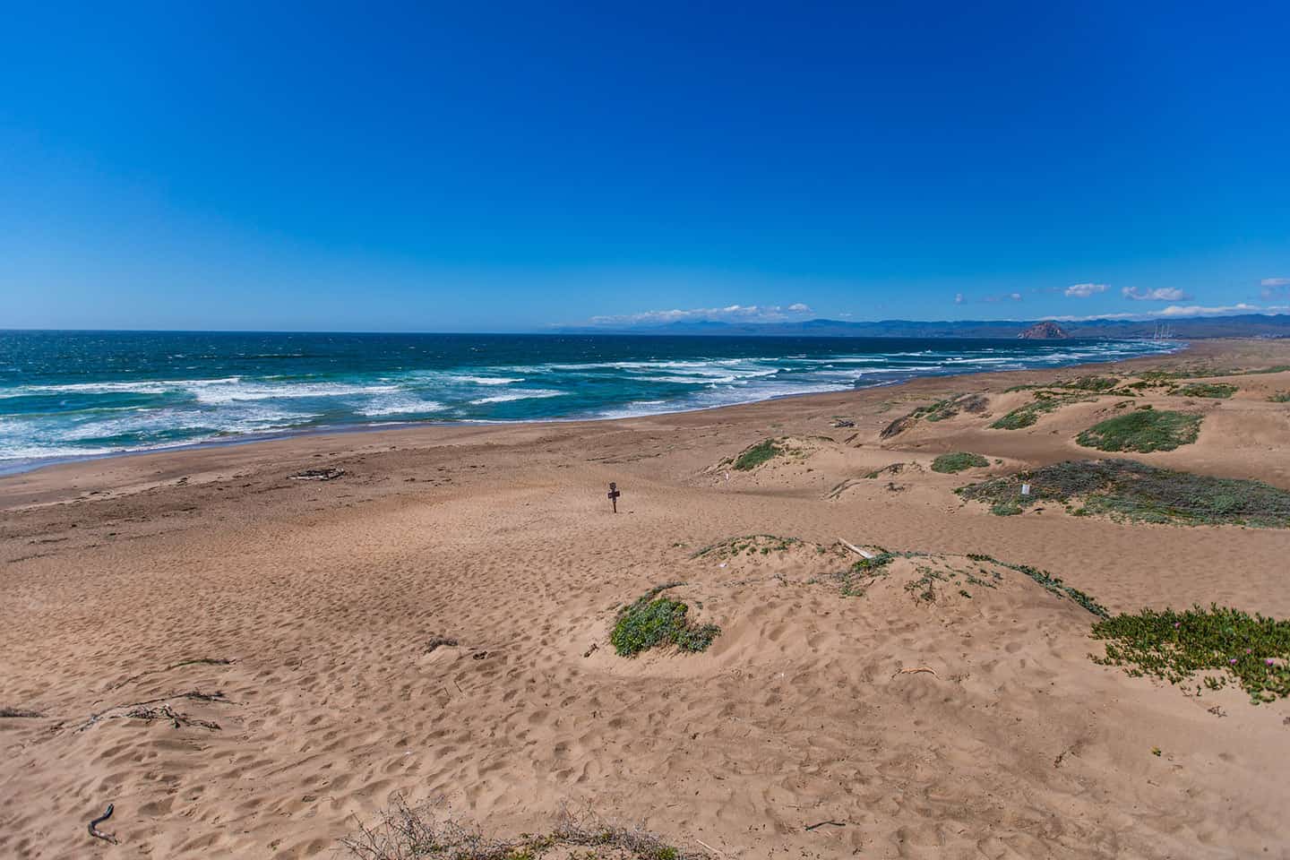 Sandspit Beach Los Osos