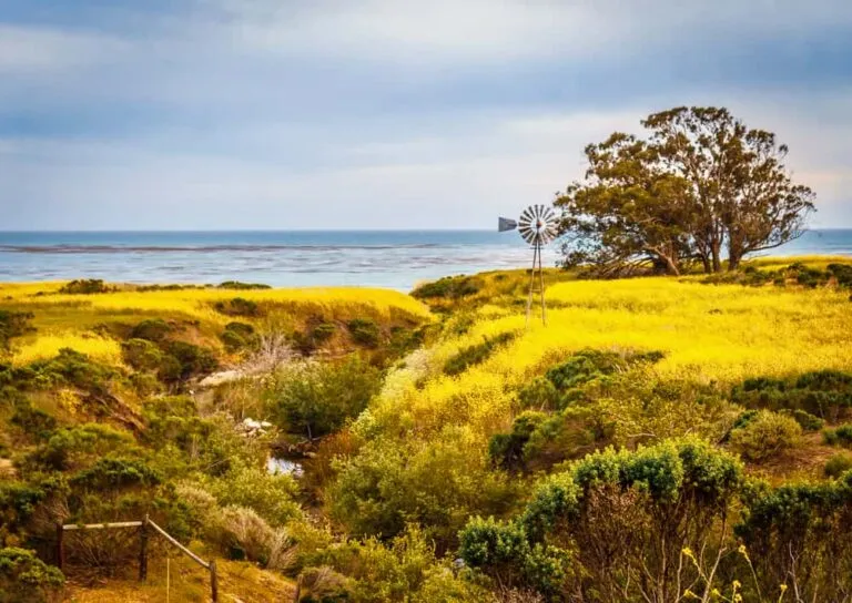 Links to Earth Day Bio-Blitz Adventure at Estero Bluffs