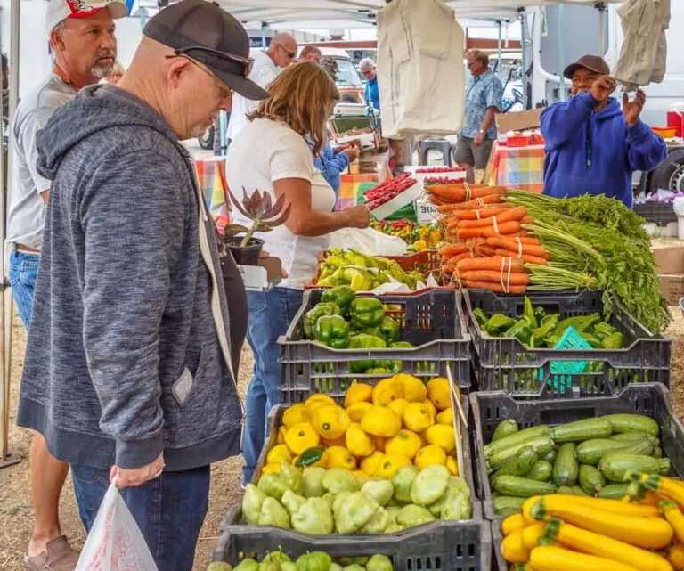 Links to Cayucos Farmers Market