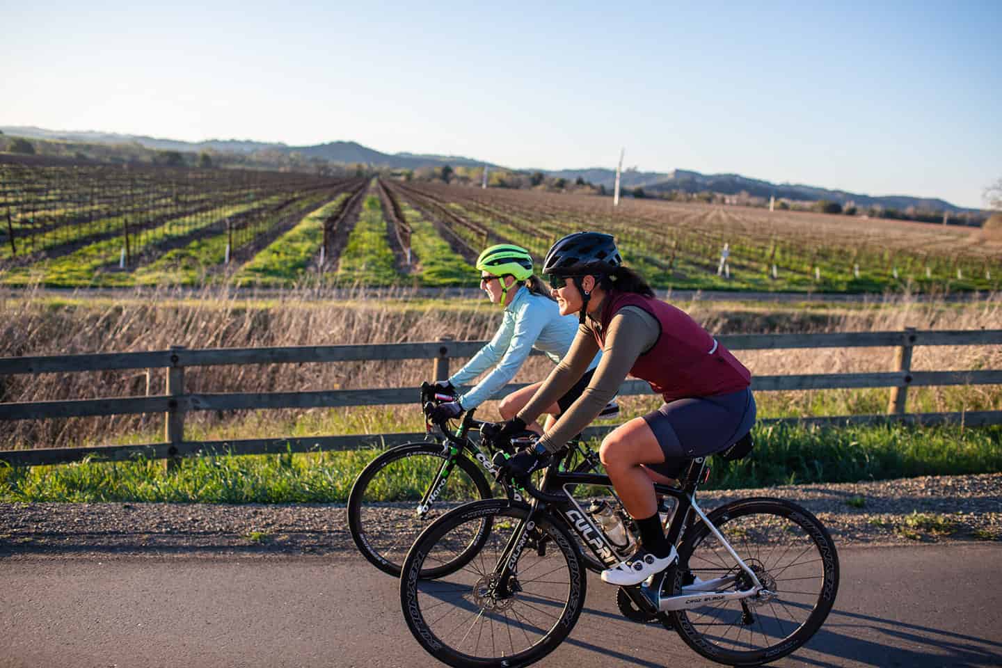 Cycling in Edna Valley Vineyards