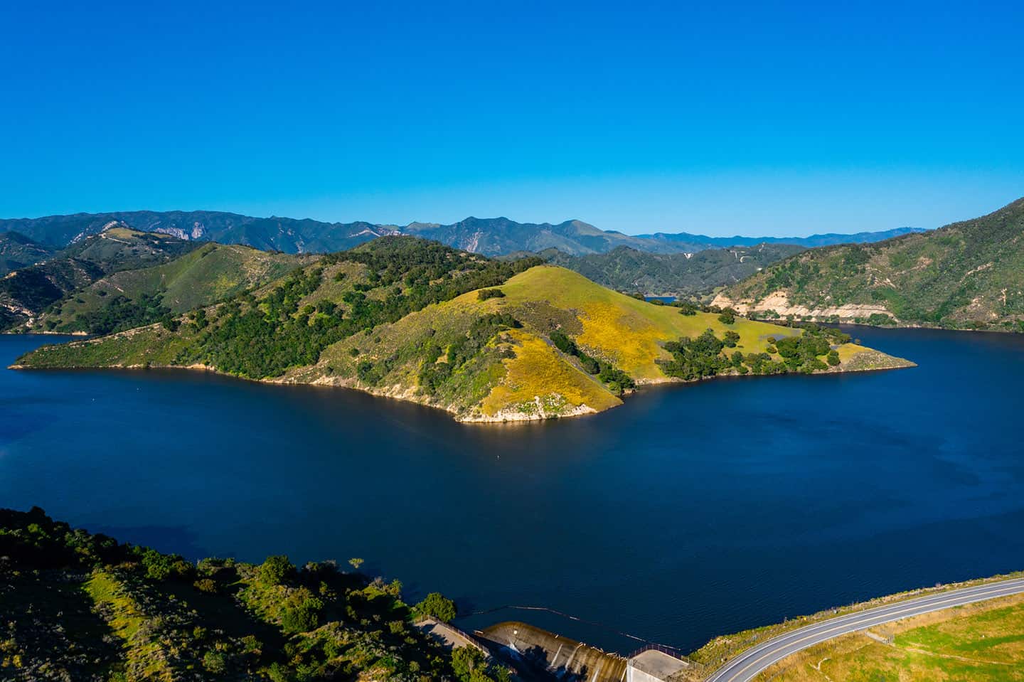 Lopez Lake Superbloom