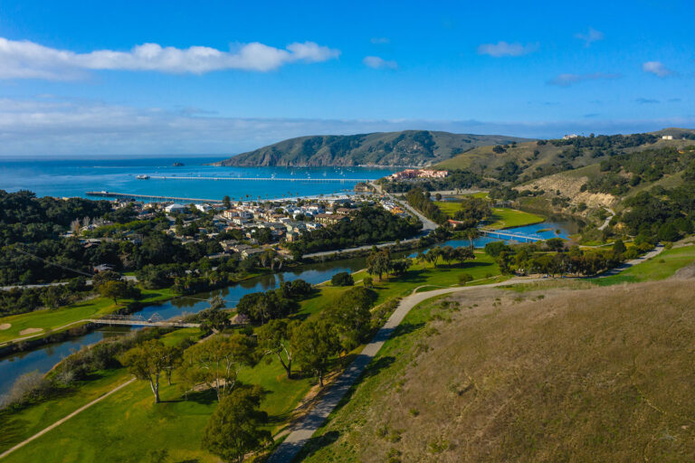 Links to Holo Holo Avila Beach
