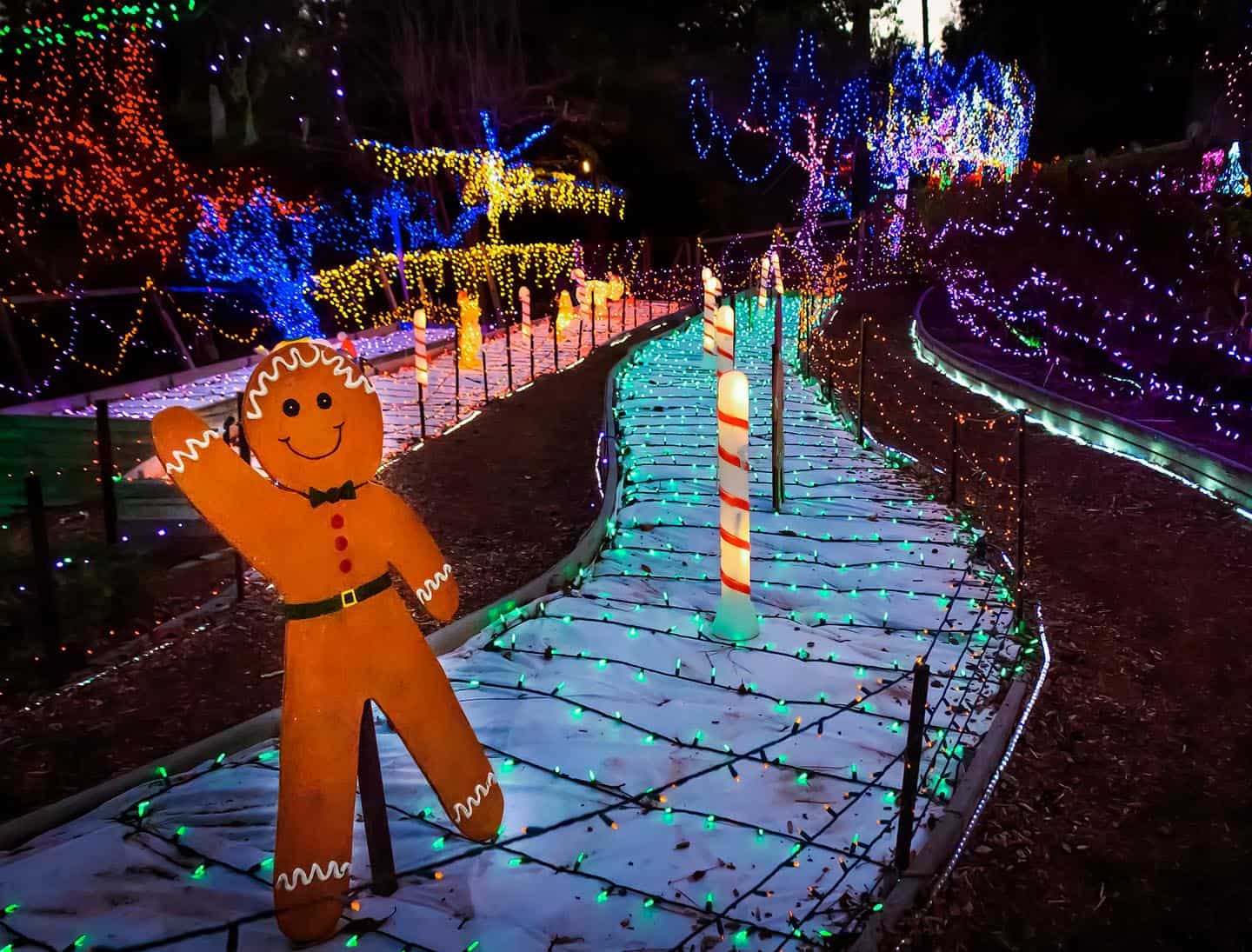 Cambria Christmas Market Display