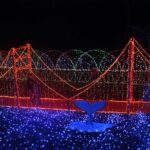 <span class="bsearch_highlight">Cambria</span> Christmas Market Golden Gate Bridge