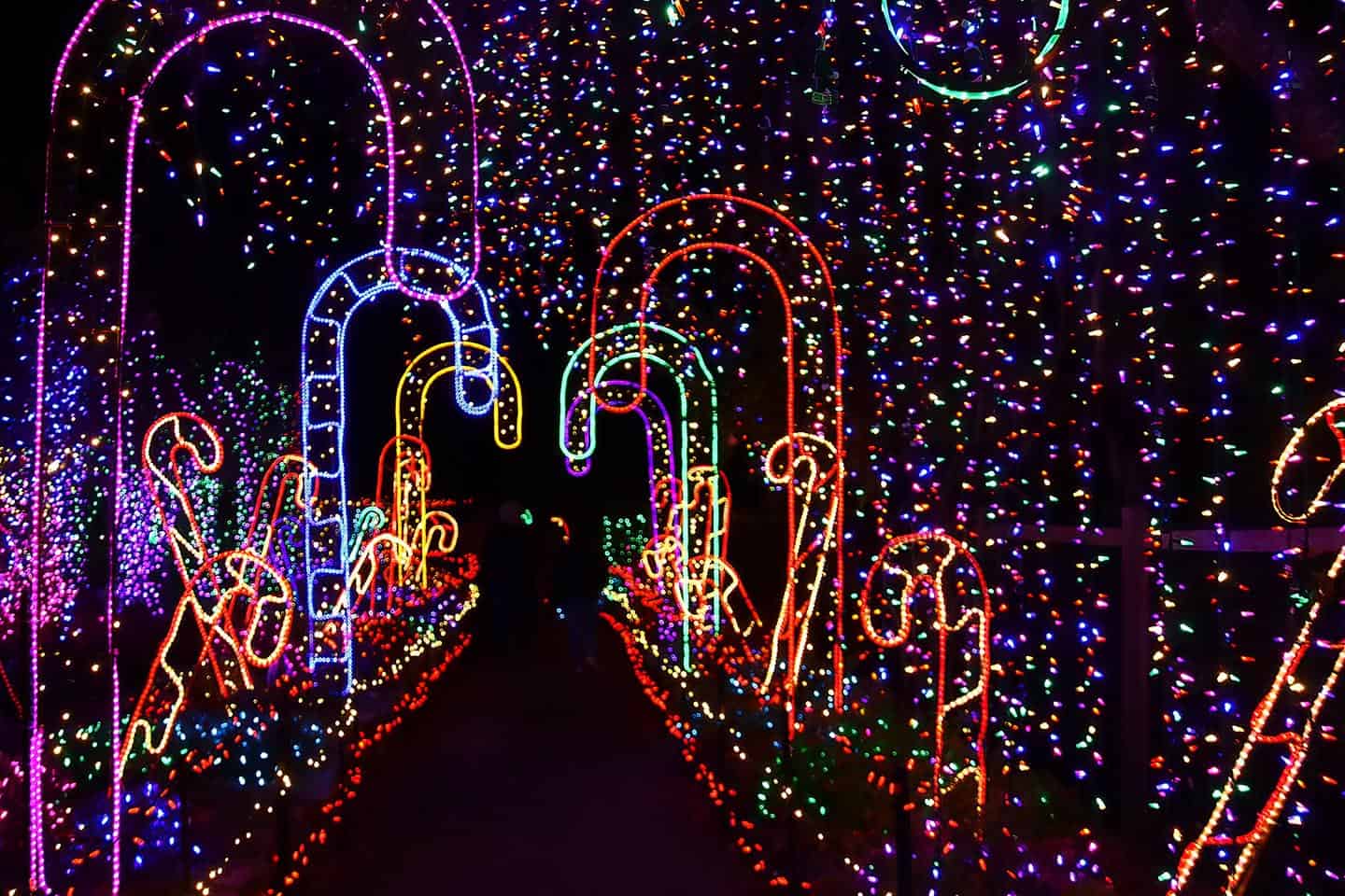 Cambria Christmas Market Lights