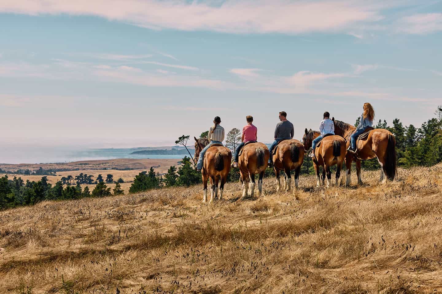 Just Coast Family Horses