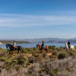 Horseback Riding