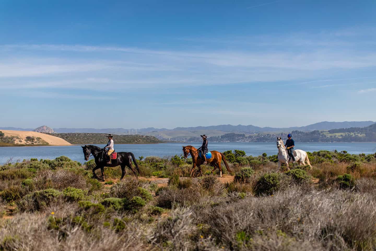 Horseback Riding Los Osos