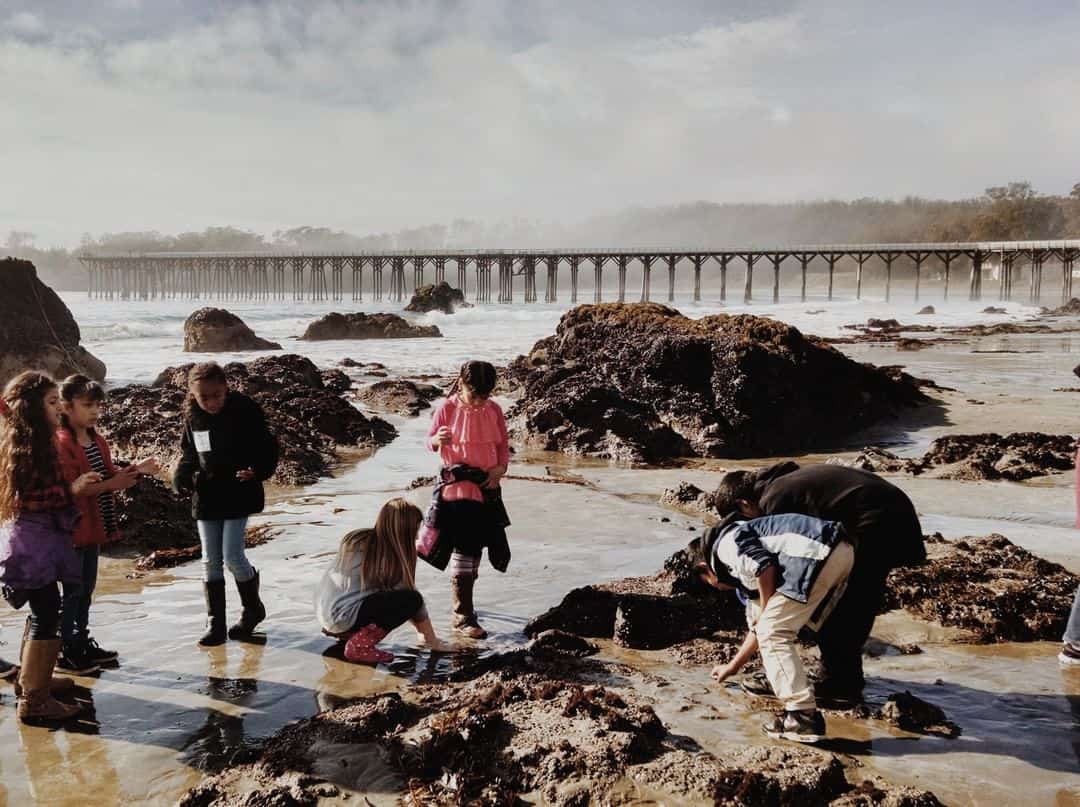 Tidepooling on the coast