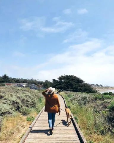 Walking dog along coastal trail