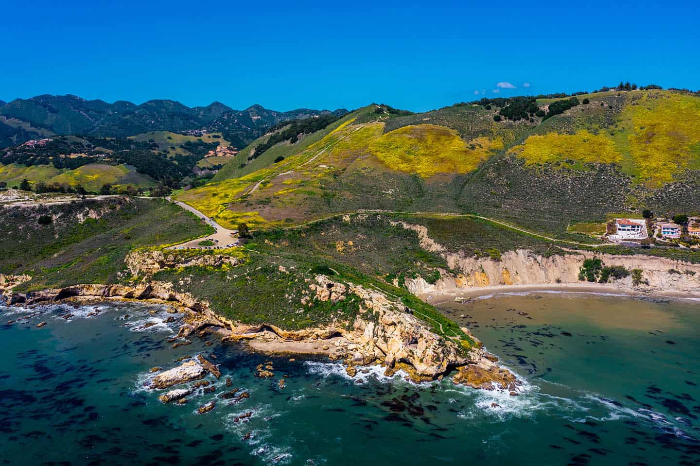 Marine Protected Area Tours ~ Morro Bay State Marine Reserve