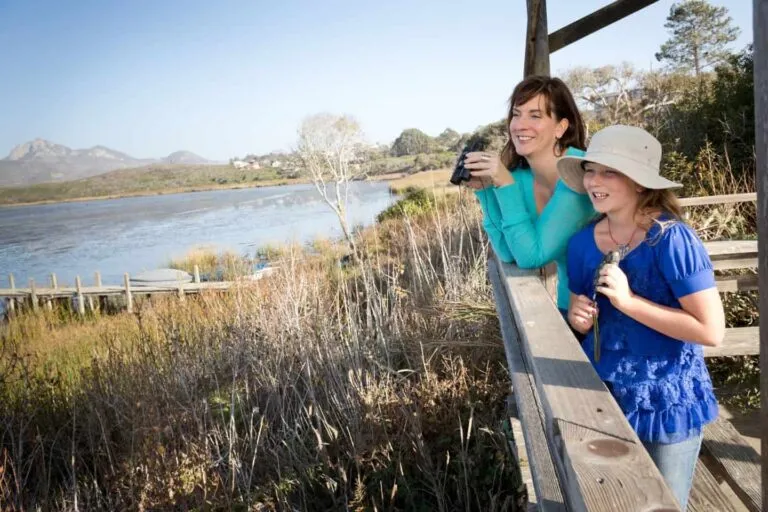 Links to Bird Watching on the Central Coast