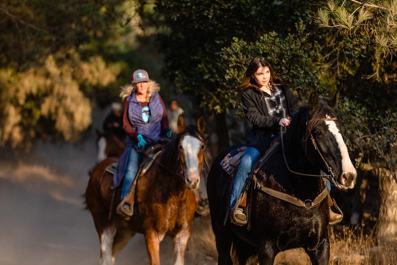 Covell's Clydesdales in Cambria, CA