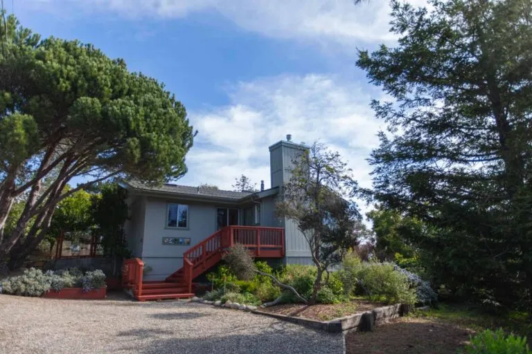 Links to Winnie's Place