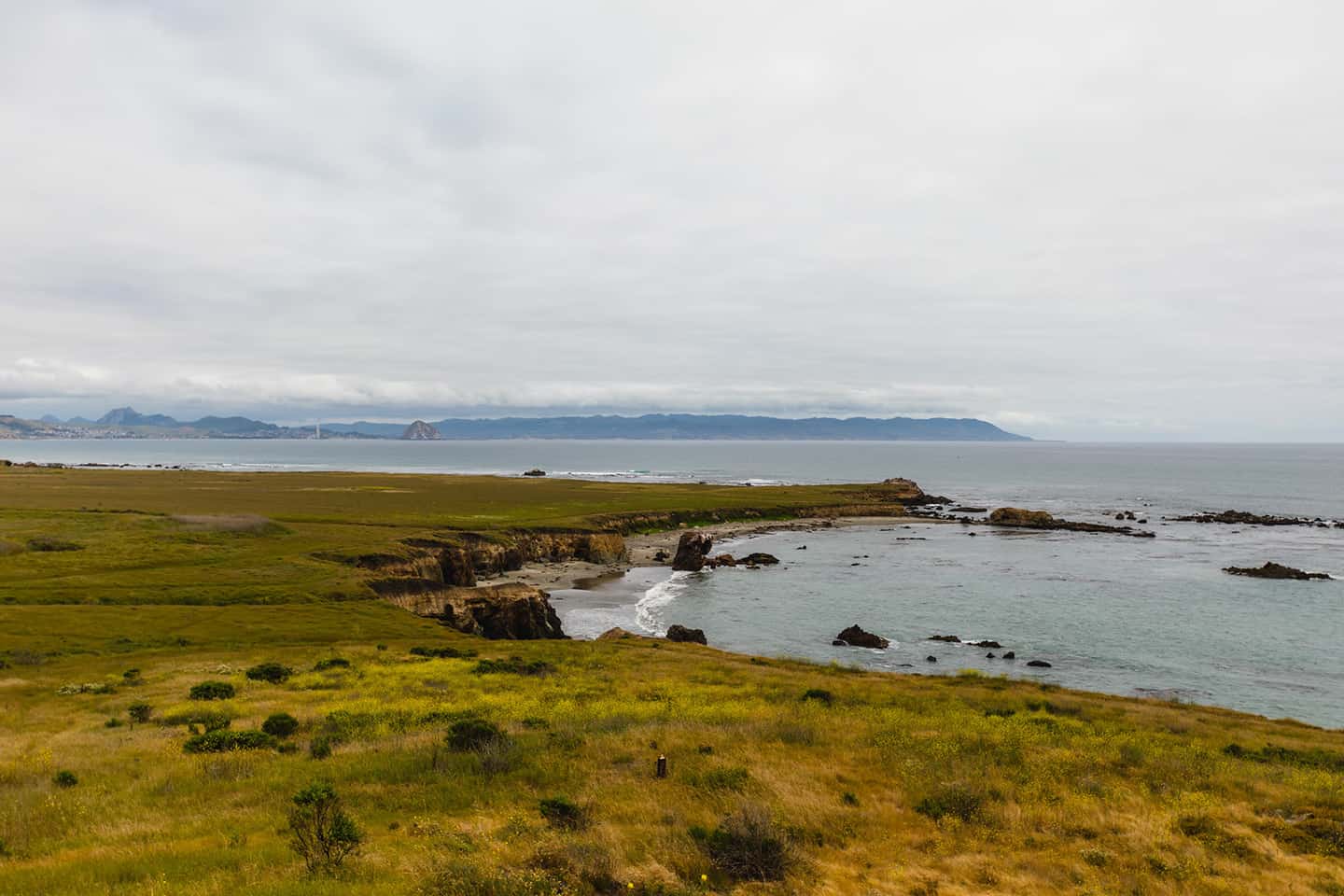 Estero Bluffs in Cayucos