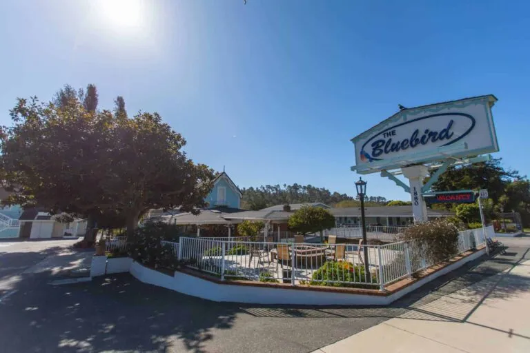 Links to Bluebird Inn