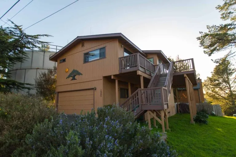 Links to Beautiful Tree Top Panorama